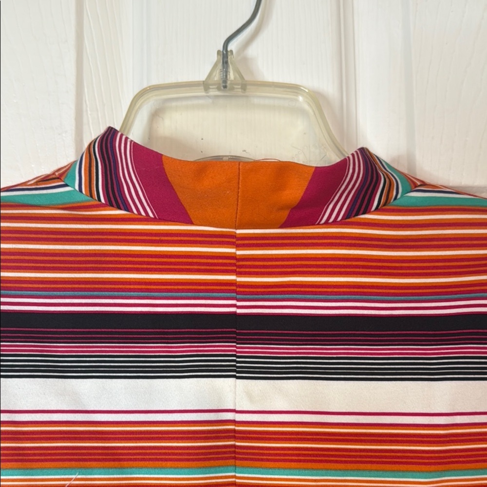 Multicolor Striped Blazer - Picture 8 of 9